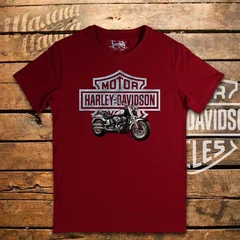 Harley Davidson, moto, bike, biker, мото, байк